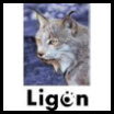 Legends of Ligon II